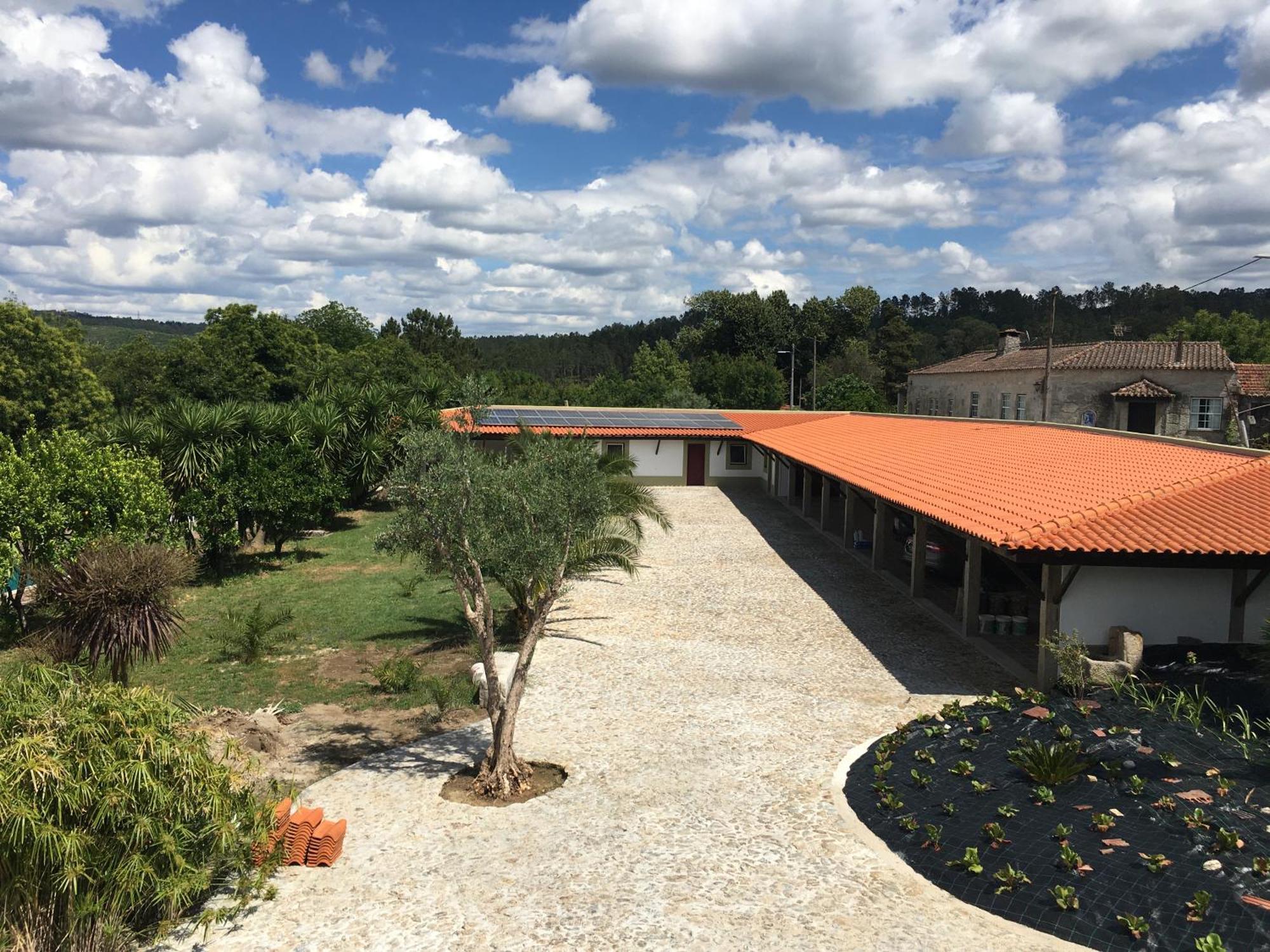 Готель Quinta De Mocamedes - Turismo De Habitacao Возела Екстер'єр фото