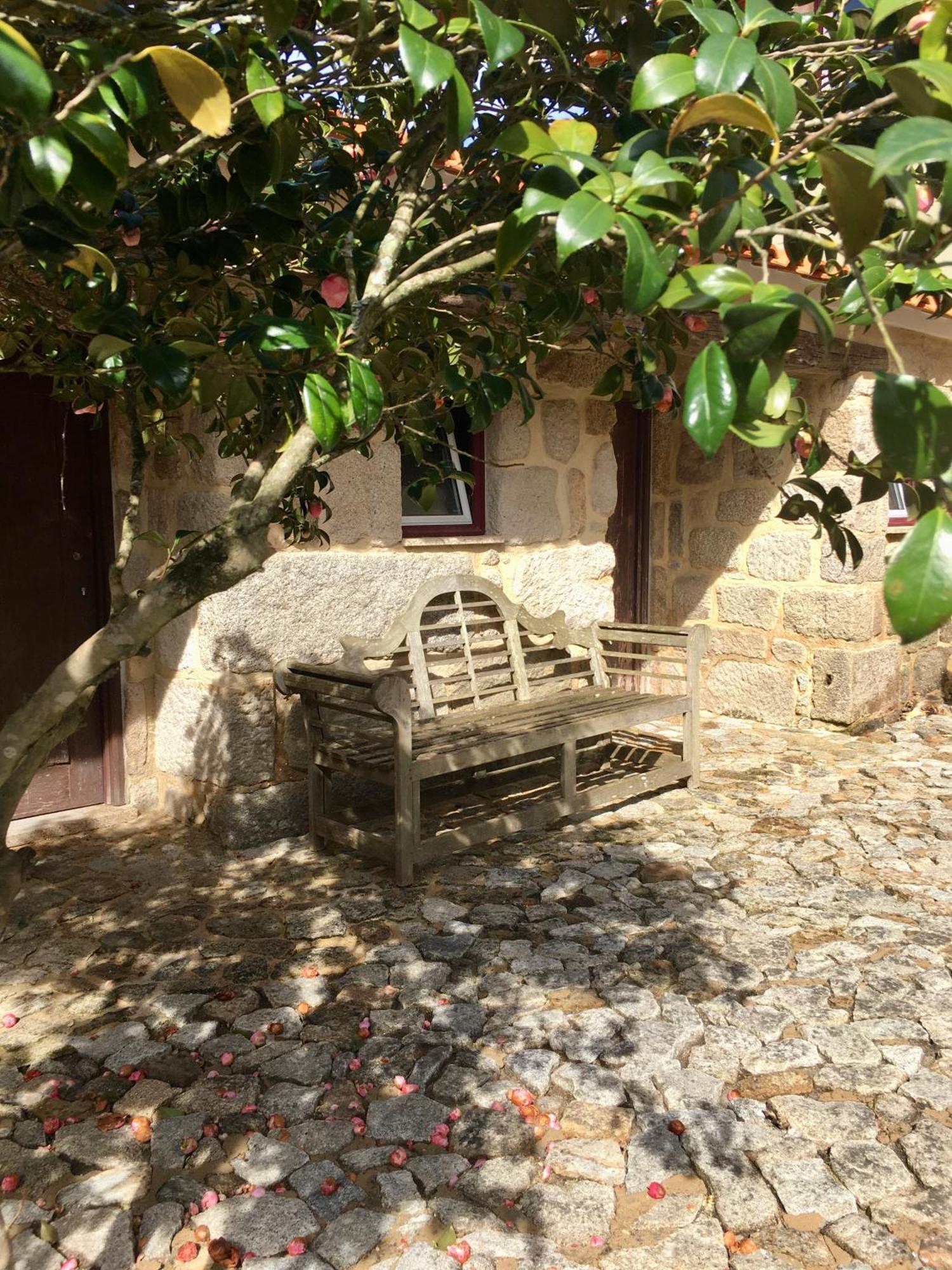 Готель Quinta De Mocamedes - Turismo De Habitacao Возела Екстер'єр фото